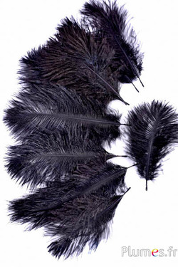 Struisvogel Bellies -8-13 cm - koffie